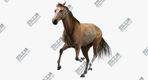 images/goods_img/20210312/3D Horse (Animated) model/2.jpg